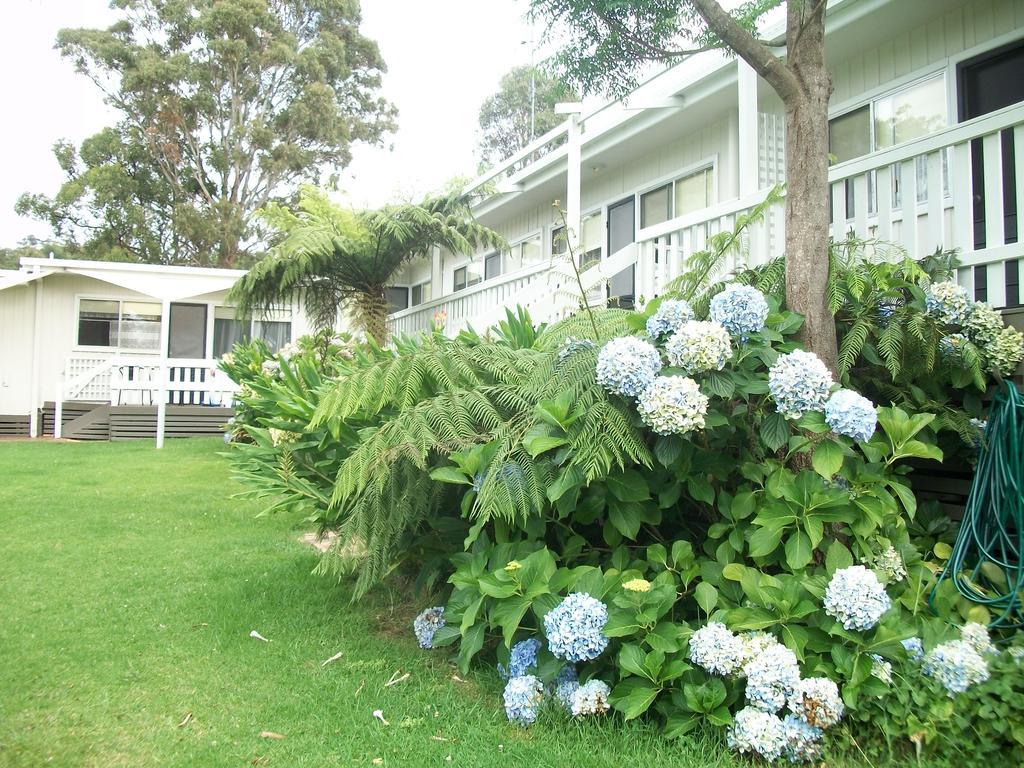 מרימבולה Top Of The Lake Holiday Units מראה חיצוני תמונה